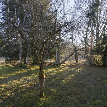 Ferienwohnung Steinmandl 奥伯斯特多夫 外观 照片